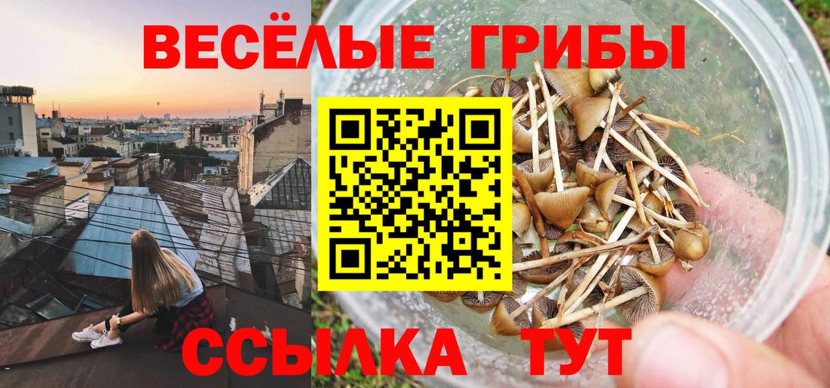 Сатка  Галлюциногенные грибы ЛСД  Псилоцибиновые грибы Magic Shrooms  Вход с VPN 
